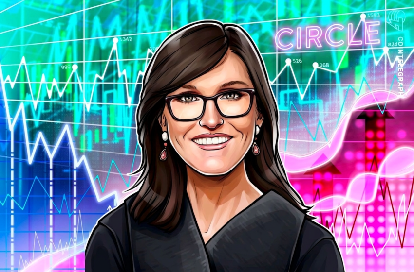 ARK Buys 725K Circle Shares in July Despite Sell-Off