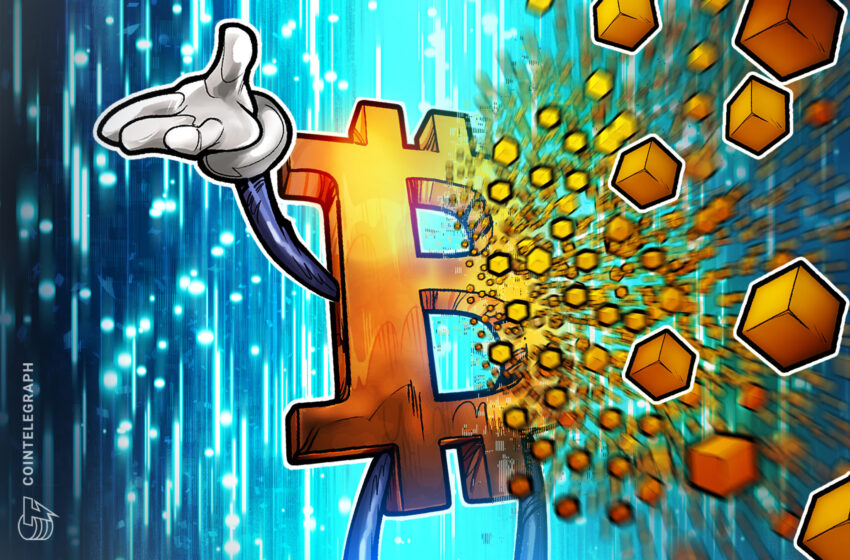 Bitcoiners Michael Saylor, Adam Back Oppose BIP-110