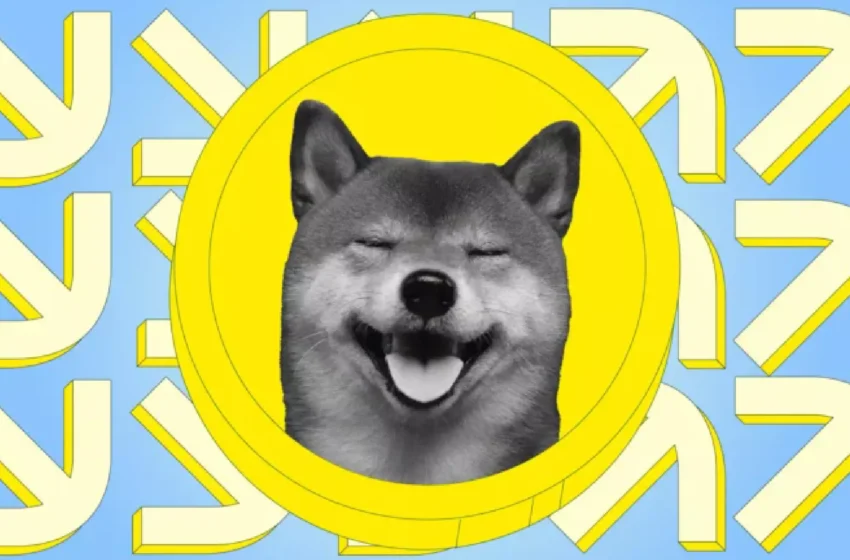Dogecoin Flashes Rare Buy Signal After $14M Whale Purchase