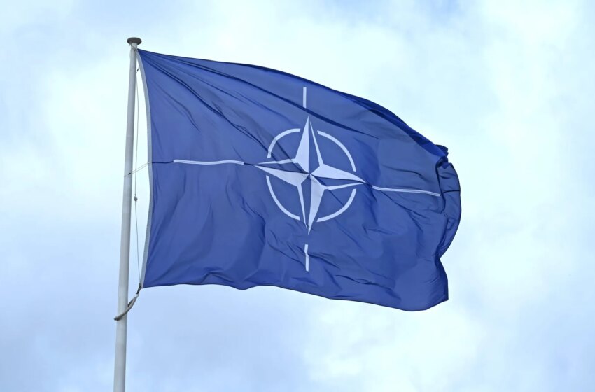 Intern arrested on suspicion of spying inside NATO and 'being a member of a criminal organization'