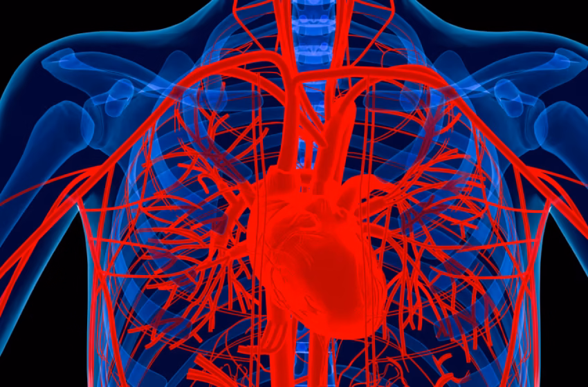 Lindsey Graham died from a rare heart condition. How to know if you’re at risk.