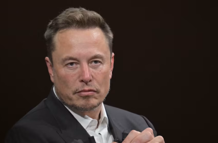  SpaceX’s stock breaks below its IPO price for the first time
