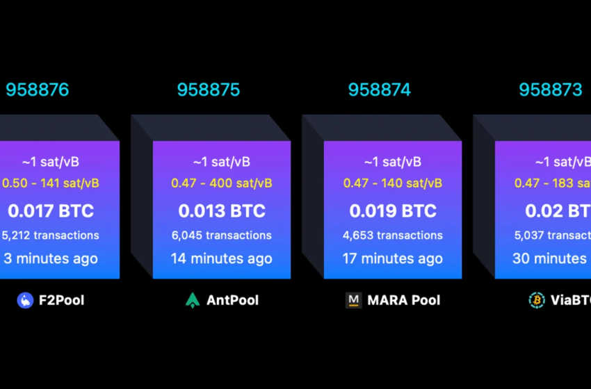 What Happens When a Bitcoin Block Is Full? Every Byte Sparks a Live Fee Auction