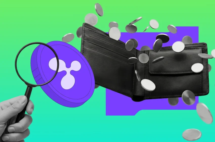 XRP Price to $0.54? 50% Crash Warning as SBI Solana Venture Announced