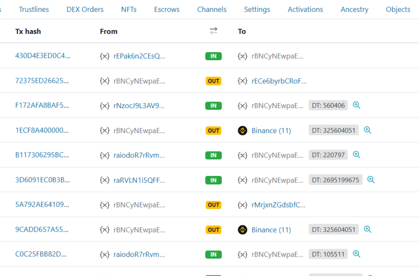 BREAKING: Ripple Moves XRP to Binance After $50M Subwallet Transfers