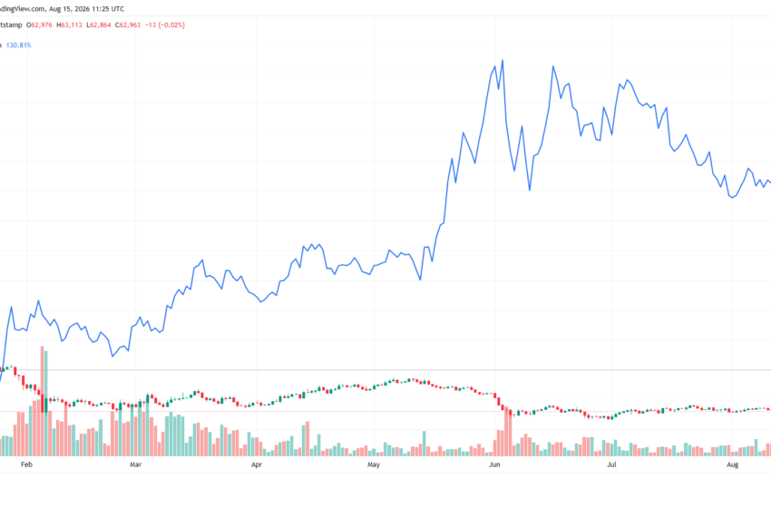  Bitcoin Could Bottom in October, Altcoins Are ‘Basically Dead,’ Swan CEO Says