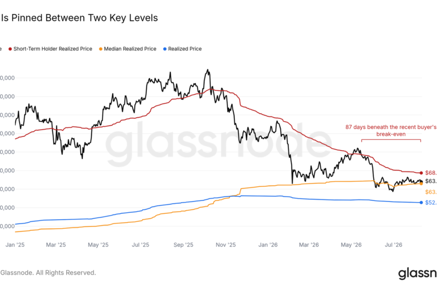 Bitcoin Price Range Breakout Rests On Short-Term Holders, Analysis Shows