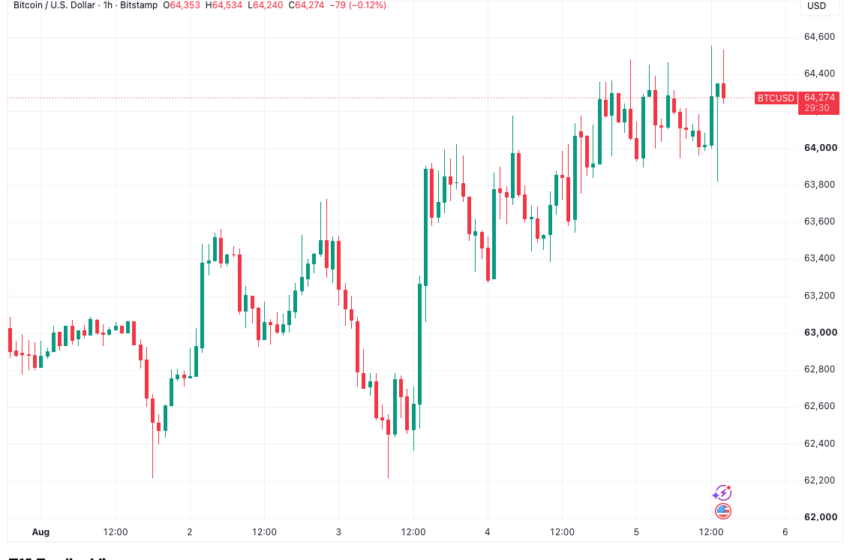 Bitcoin Treads Water As Gold, S&P 500 See Significant Gains