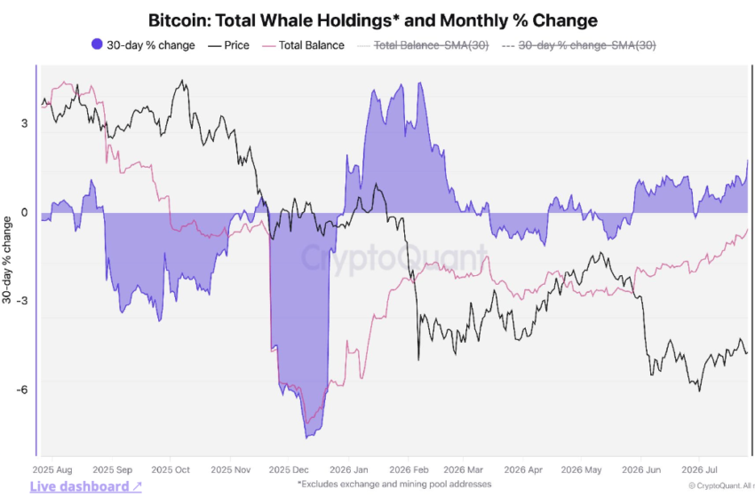 Bitcoin Whales Signal Possible Bear Market Bottom