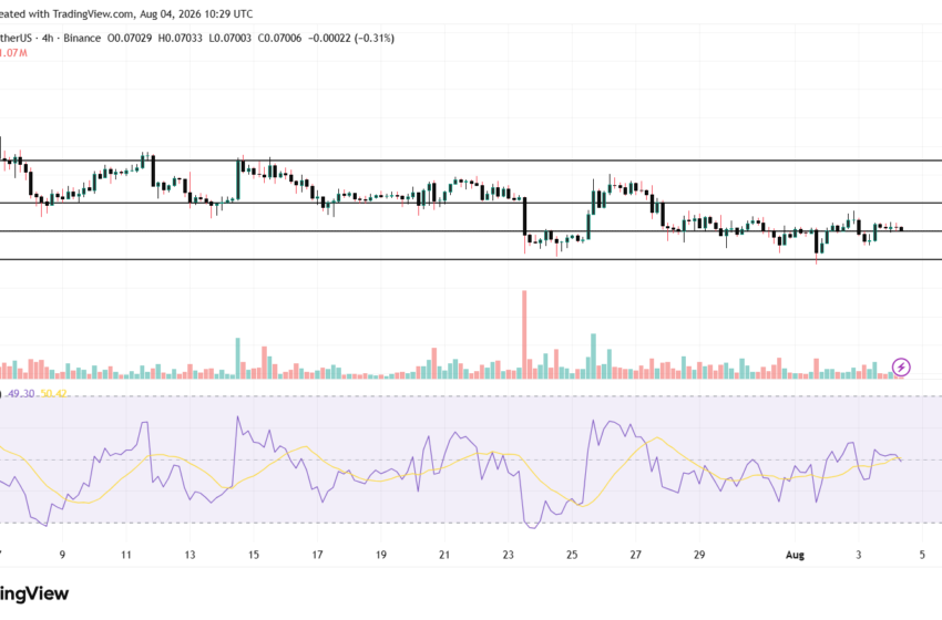 Dogecoin and SpaceX Prediction Ahead of SpaceX Earnings Today
