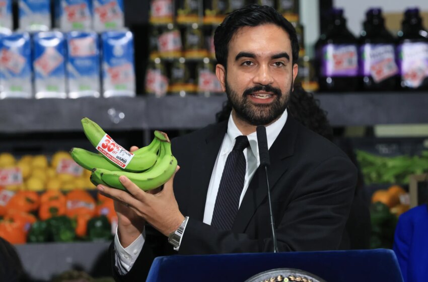  Mamdani’s city-owned supermarkets will fight the one force no city has ever beaten: the market