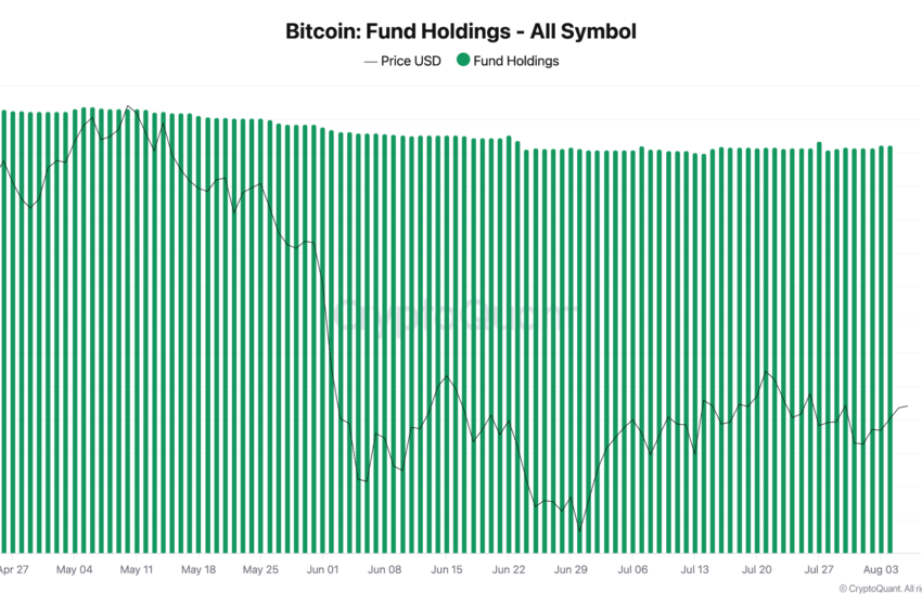 New Analysis Warns Over ‘Breaking’ Bitcoin Treasury Investment Model
