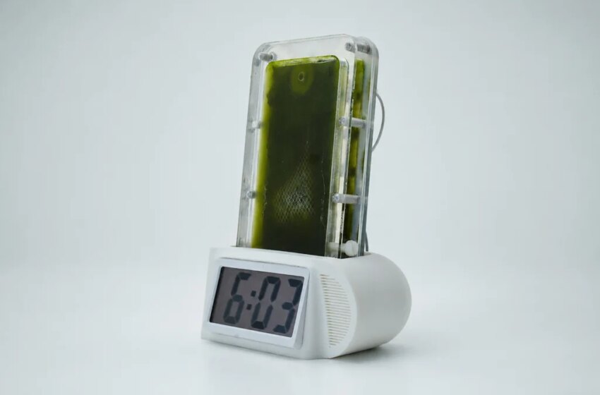This battery is powered by algae