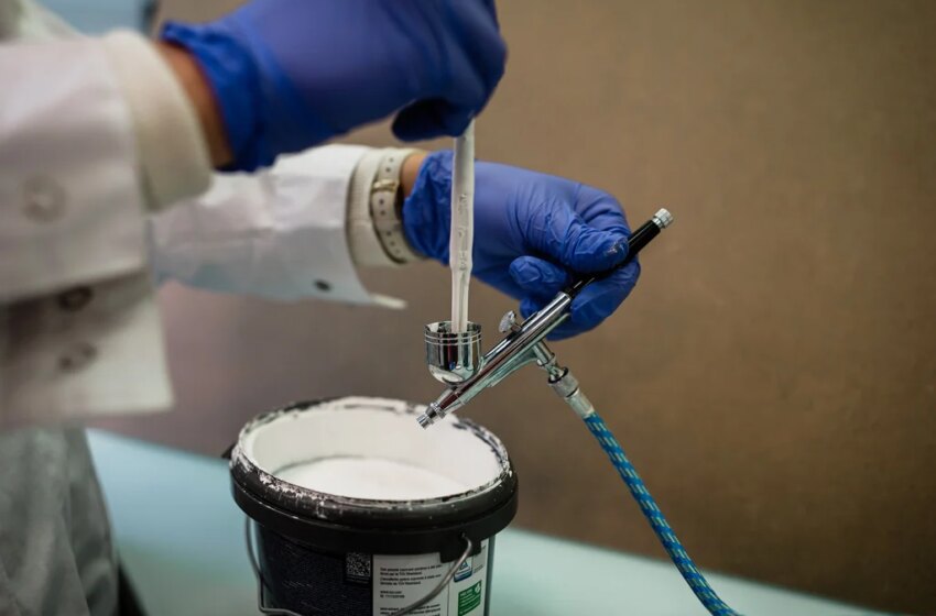  This super-white coating was inspired by a beetle’s scales
