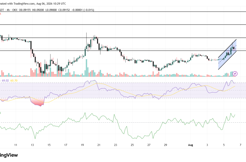 Why pi coin price is up today?