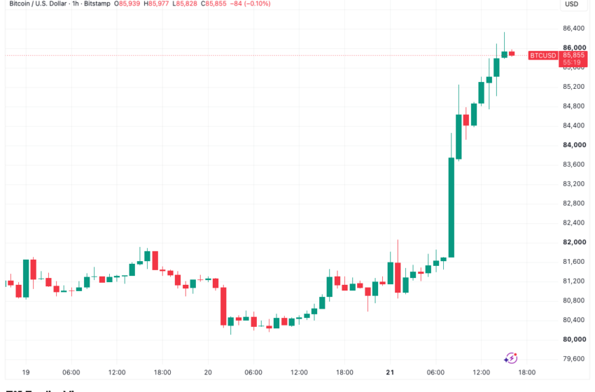 Bitcoin Hitting new 33-Week High Brings Back Crypto Bull Market Claims