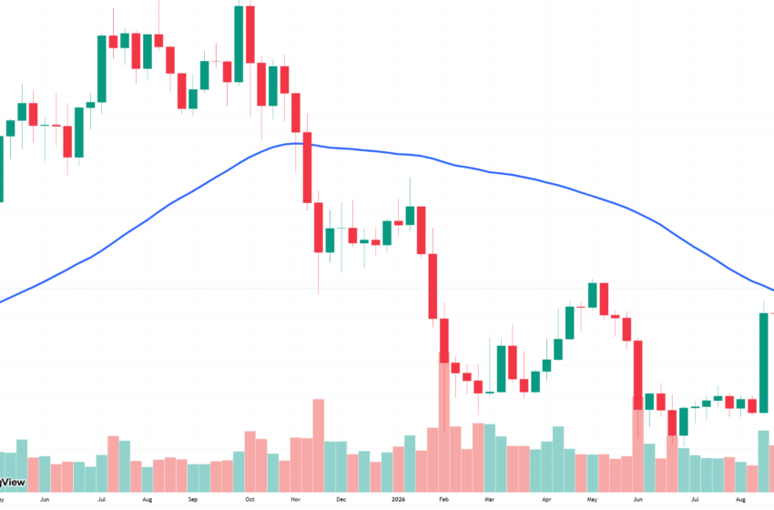 Bitcoin Reclaims 50-Week Average: Is Bear Market Over?
