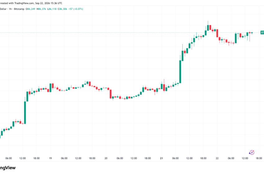 Bitcoin Retains $86,000 as Trump Pledges US-Iran Deal After Midterms