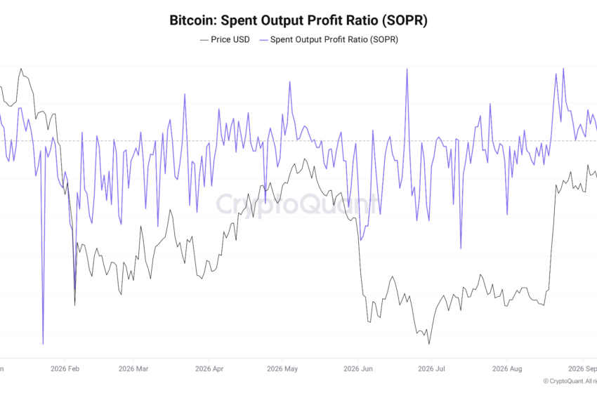 Bitcoin SOPR Metric’s Longest 2026 Winning Streak Enters Fourth Week