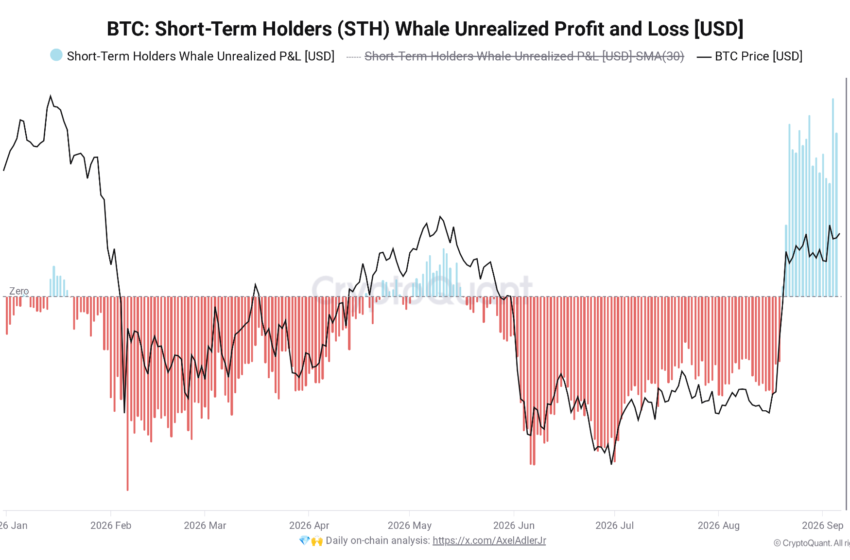 Bitcoin Short-Term Holder Whales Sit on Record $9 Billion Unrealized Gains