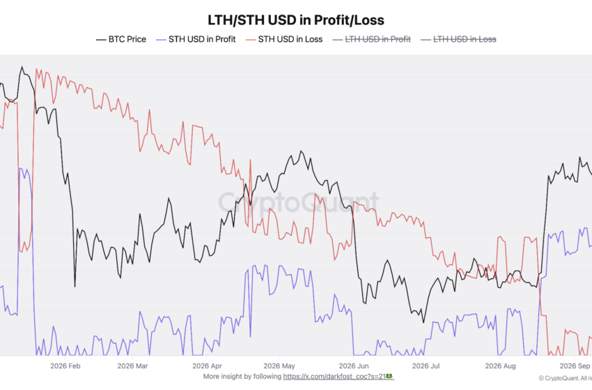 Bitcoin Short-Term Holders Near One Month in Partial Profit in New Bull Signal
