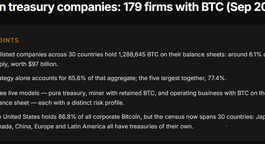Bitcoin Treasuries Can Outperform BTC... But Is The Risk Worth Taking?