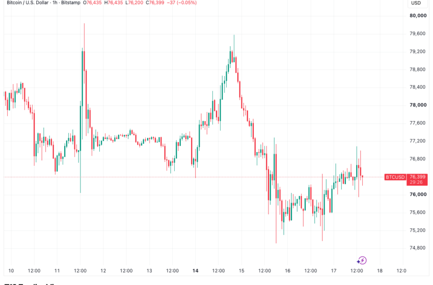 Bitcoin and US Stocks Rebound as Traders Shake Off Fed Rate Hike