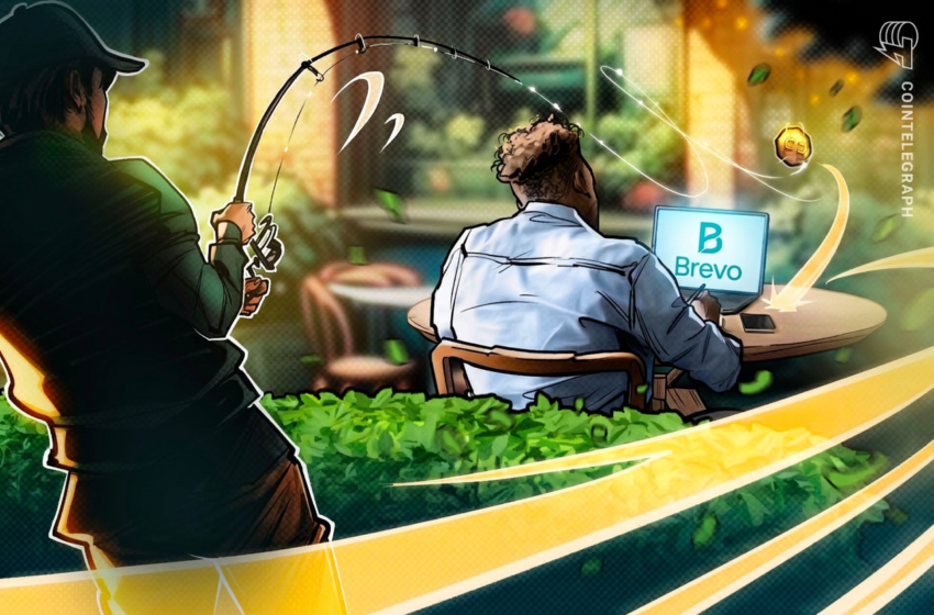 Brevo Login Breach Affected Trezor, BitBox and CoinTracking