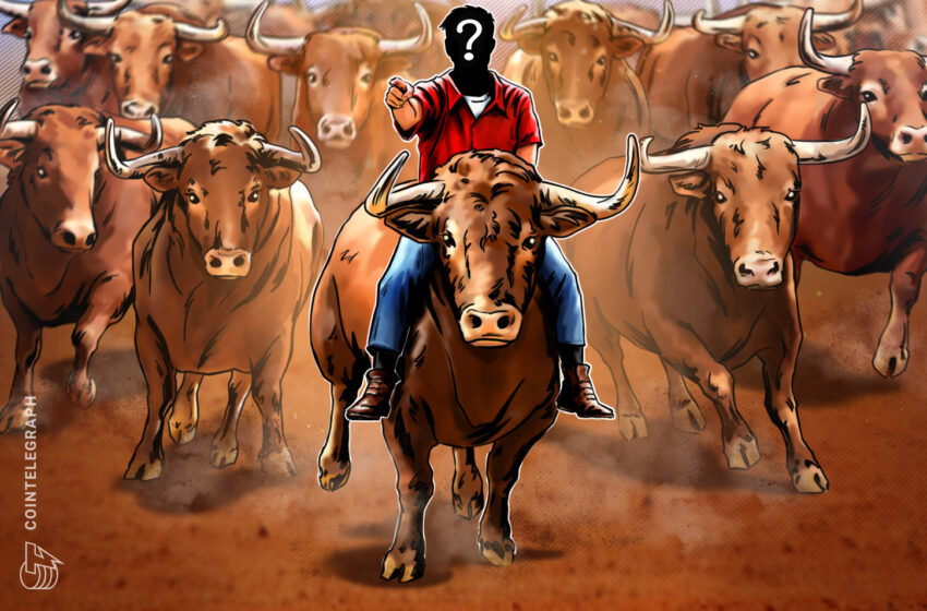 Crypto’s Wild Market Swings Are Fading, Solstice CEO Says