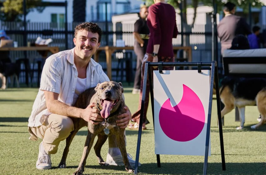 Dating apps are trying to cure swiping fatigue with pickleball, trivia nights, and fewer chats
