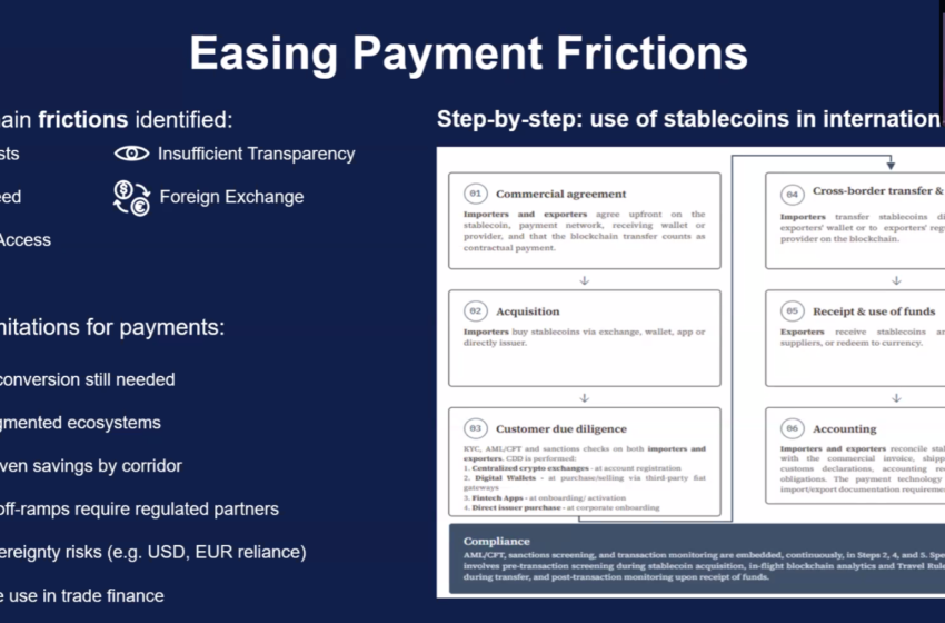 Fragmented Regulations Limit Stablecoin Adoption in International Finance: WTO
