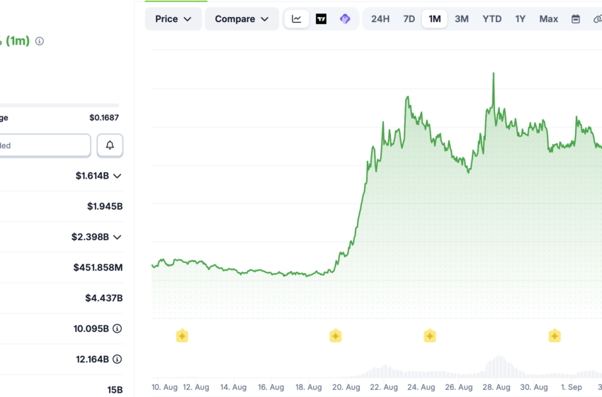 StablecoinX Names New CEO to Oversee ENA Treasury