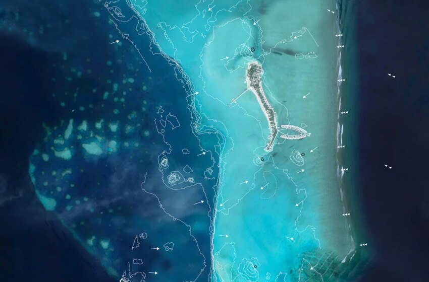 This MIT spinout designed an artificial reef to save shrinking beaches