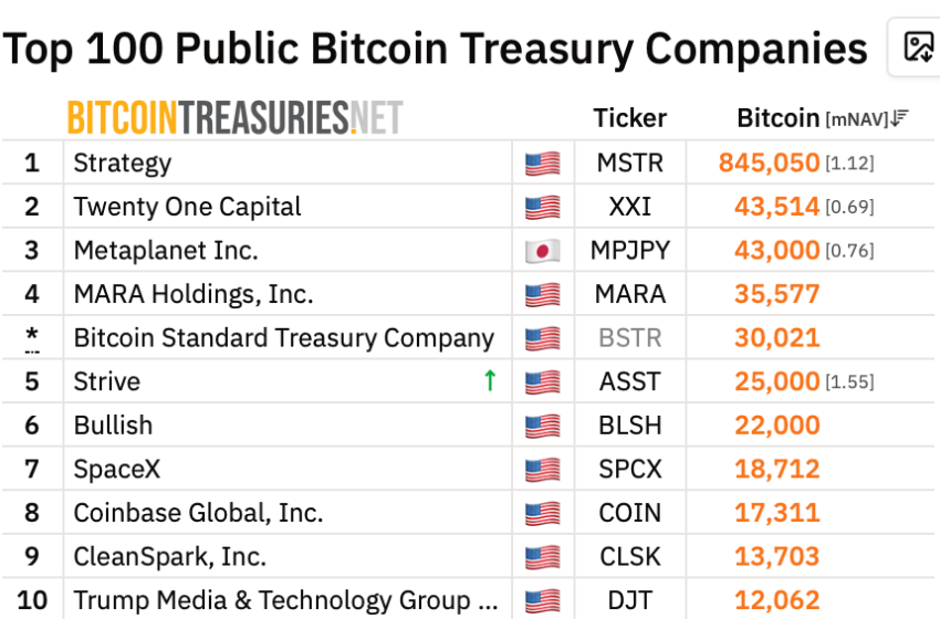 VanEck Flags Metaplanet Executive Stock Dilution